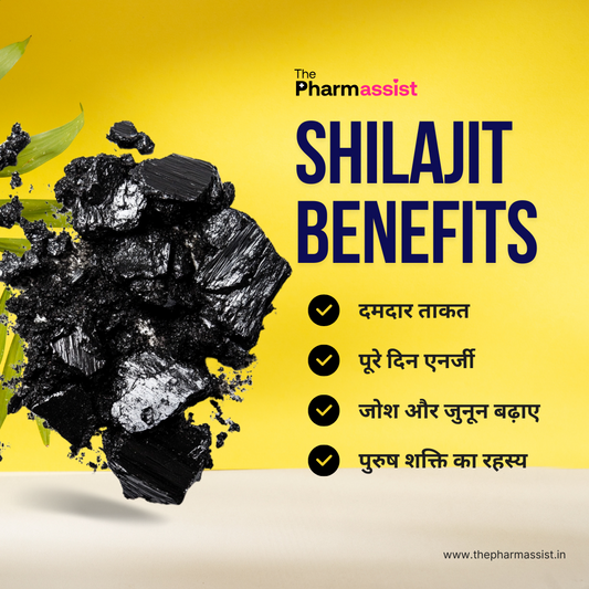 ThePharmassist Pure Himalayan Shilajit Resin 20g – Natural Energy & Strength Booster
