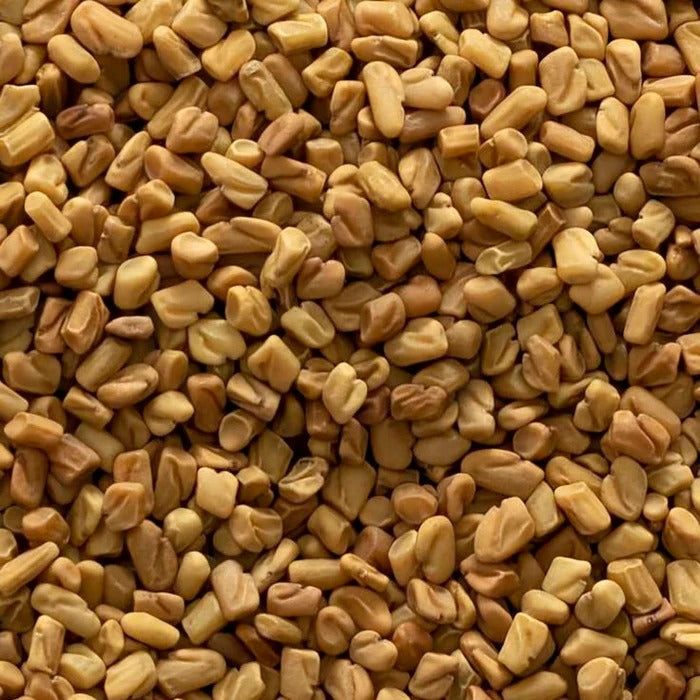 Fenugreek