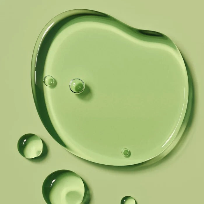 Green Tea Extract