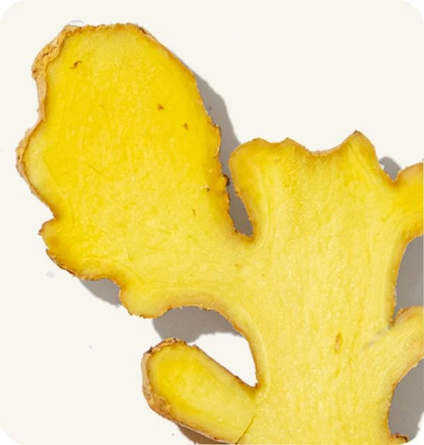 Panax Ginseng